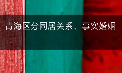 青海区分同居关系、事实婚姻