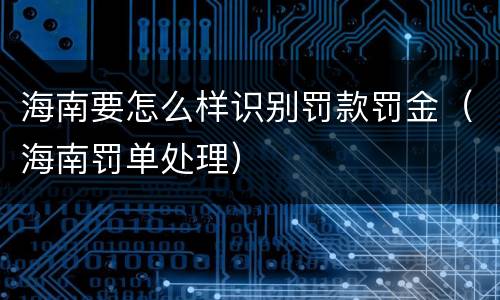 海南要怎么样识别罚款罚金（海南罚单处理）