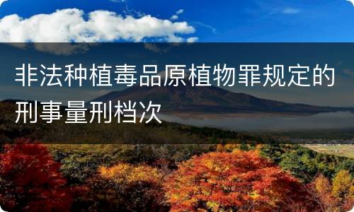 非法种植毒品原植物罪规定的刑事量刑档次