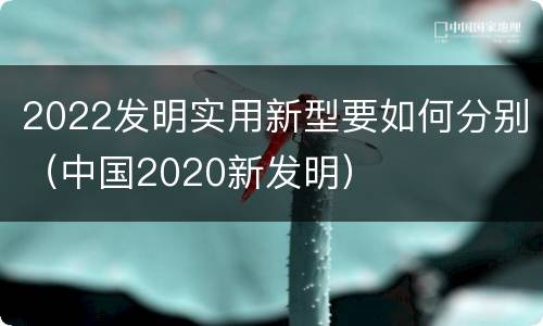 2022发明实用新型要如何分别（中国2020新发明）