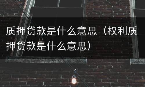 质押贷款是什么意思（权利质押贷款是什么意思）
