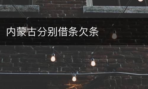 内蒙古分别借条欠条