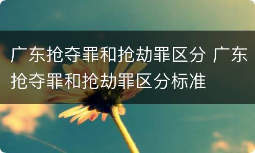 广东抢夺罪和抢劫罪区分 广东抢夺罪和抢劫罪区分标准