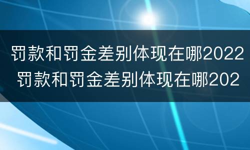 罚款和罚金差别体现在哪2022 罚款和罚金差别体现在哪2022年