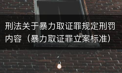 刑法关于暴力取证罪规定刑罚内容（暴力取证罪立案标准）