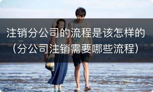 注销分公司的流程是该怎样的（分公司注销需要哪些流程）
