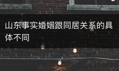 山东事实婚姻跟同居关系的具体不同