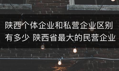 陕西个体企业和私营企业区别有多少 陕西省最大的民营企业是什么公司