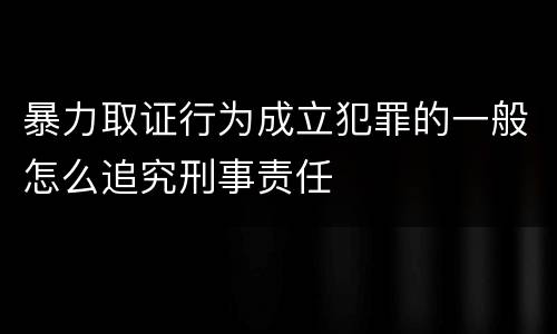 暴力取证行为成立犯罪的一般怎么追究刑事责任
