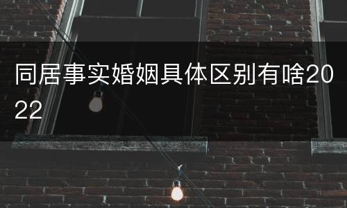 同居事实婚姻具体区别有啥2022