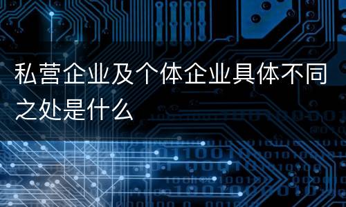 私营企业及个体企业具体不同之处是什么