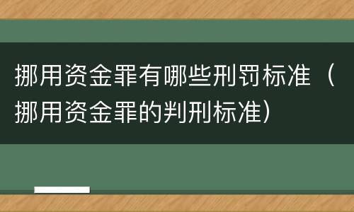 挪用资金罪有哪些刑罚标准（挪用资金罪的判刑标准）