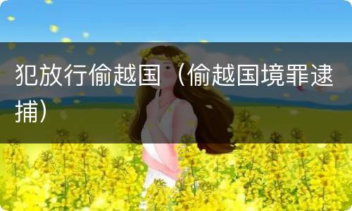 犯放行偷越国（偷越国境罪逮捕）