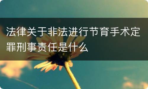 法律关于非法进行节育手术定罪刑事责任是什么