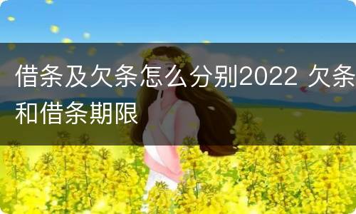 借条及欠条怎么分别2022 欠条和借条期限