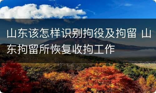 山东该怎样识别拘役及拘留 山东拘留所恢复收拘工作