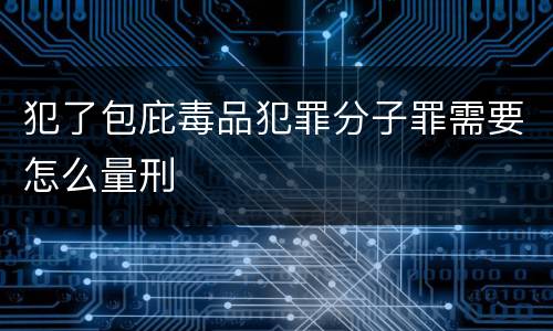 犯了包庇毒品犯罪分子罪需要怎么量刑
