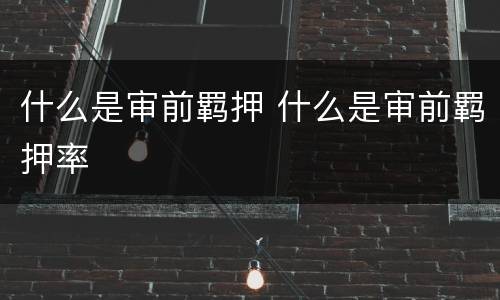 什么是审前羁押 什么是审前羁押率