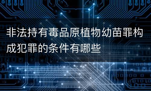 非法持有毒品原植物幼苗罪构成犯罪的条件有哪些