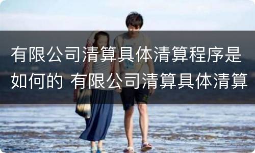 有限公司清算具体清算程序是如何的 有限公司清算具体清算程序是如何的操作