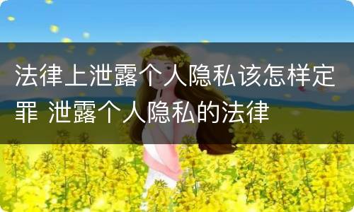 法律上泄露个人隐私该怎样定罪 泄露个人隐私的法律