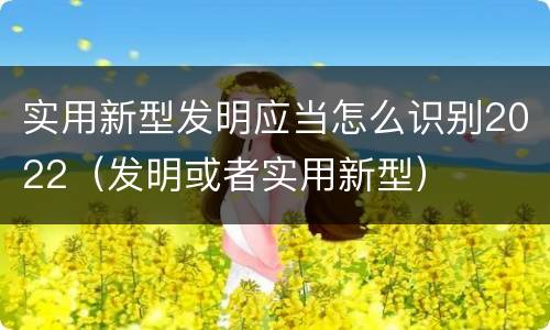 实用新型发明应当怎么识别2022（发明或者实用新型）