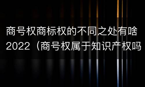商号权商标权的不同之处有啥2022（商号权属于知识产权吗）