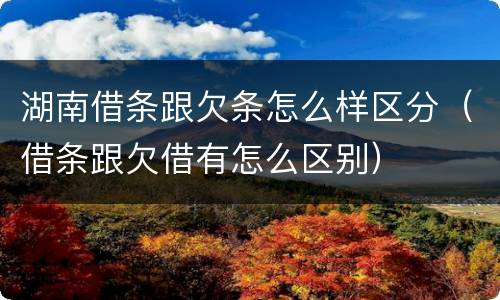 湖南借条跟欠条怎么样区分（借条跟欠借有怎么区别）