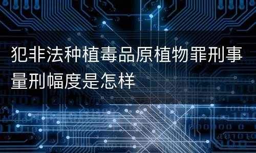 犯非法种植毒品原植物罪刑事量刑幅度是怎样