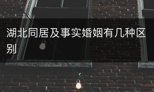 湖北同居及事实婚姻有几种区别