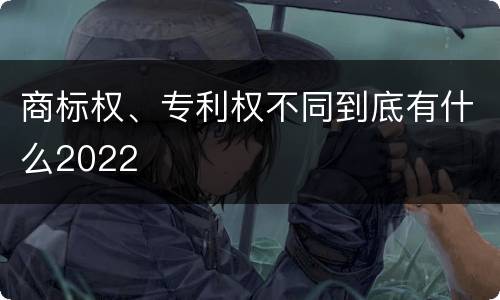 商标权、专利权不同到底有什么2022