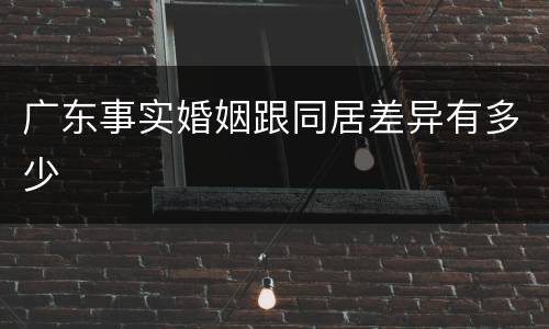广东事实婚姻跟同居差异有多少