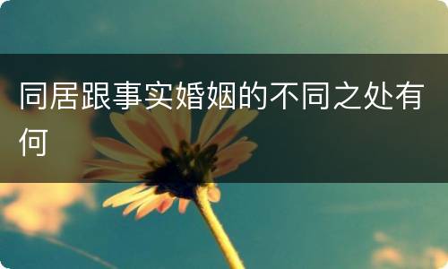 同居跟事实婚姻的不同之处有何