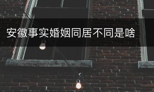 安徽事实婚姻同居不同是啥