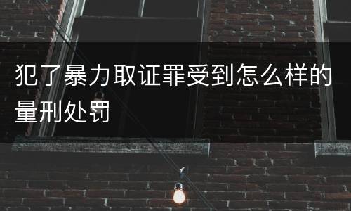 犯了暴力取证罪受到怎么样的量刑处罚
