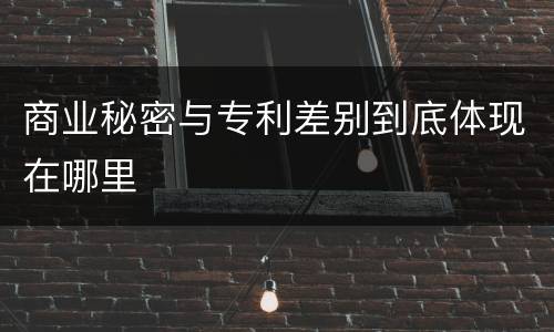 商业秘密与专利差别到底体现在哪里