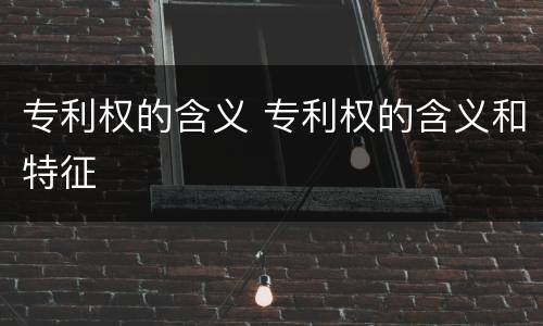 专利权的含义 专利权的含义和特征