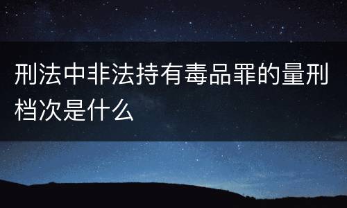 刑法中非法持有毒品罪的量刑档次是什么