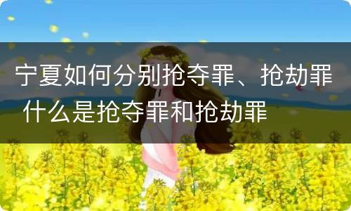 宁夏如何分别抢夺罪、抢劫罪 什么是抢夺罪和抢劫罪