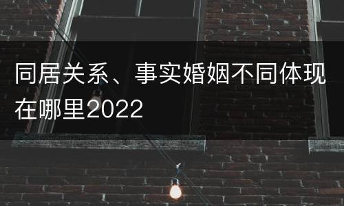同居关系、事实婚姻不同体现在哪里2022
