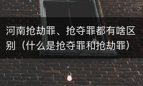 河南抢劫罪、抢夺罪都有啥区别（什么是抢夺罪和抢劫罪）
