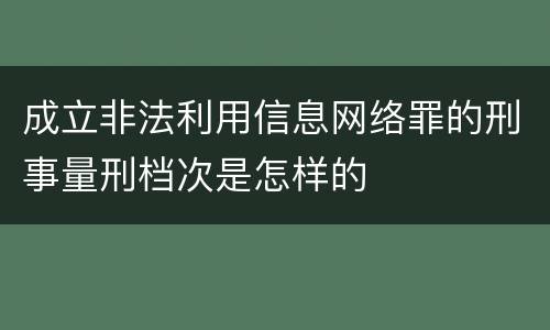 成立非法利用信息网络罪的刑事量刑档次是怎样的