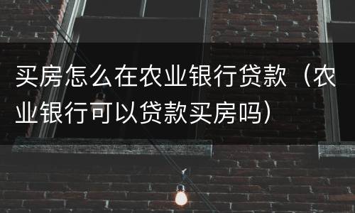 买房怎么在农业银行贷款（农业银行可以贷款买房吗）
