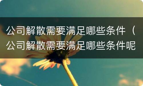 公司解散需要满足哪些条件（公司解散需要满足哪些条件呢）