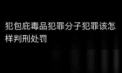 犯包庇毒品犯罪分子犯罪该怎样判刑处罚