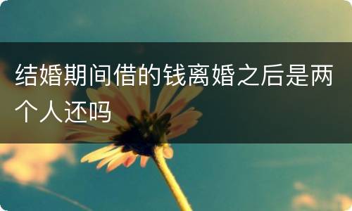 结婚期间借的钱离婚之后是两个人还吗
