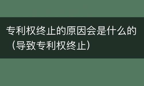 专利权终止的原因会是什么的（导致专利权终止）
