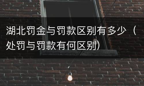 湖北罚金与罚款区别有多少（处罚与罚款有何区别）