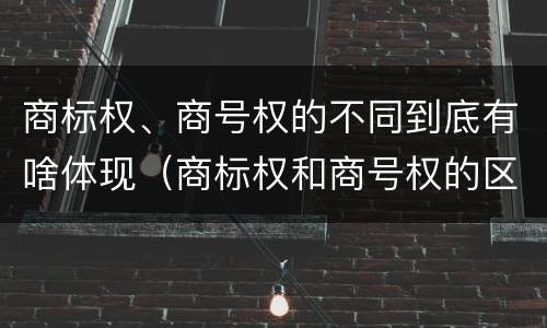 商标权、商号权的不同到底有啥体现（商标权和商号权的区别）