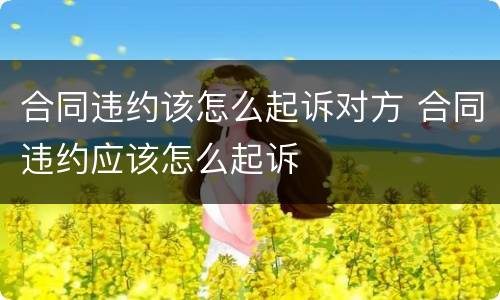 合同违约该怎么起诉对方 合同违约应该怎么起诉